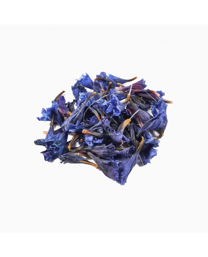 گل گاوزبان