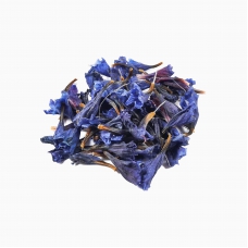 گل گاوزبان
