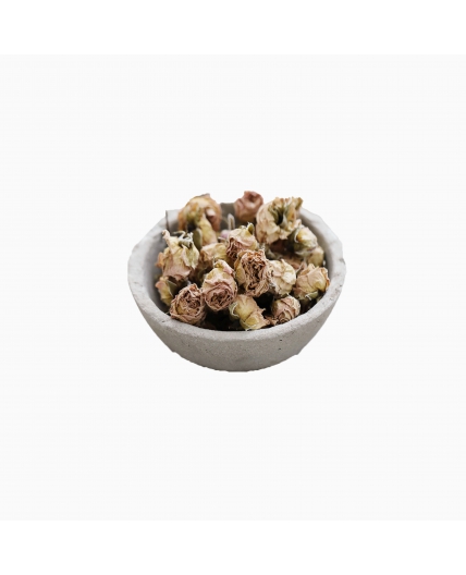 گل ختمی سفید